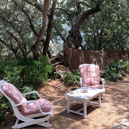 Mountain House Surrounded By Nature Bayacas Esterno foto