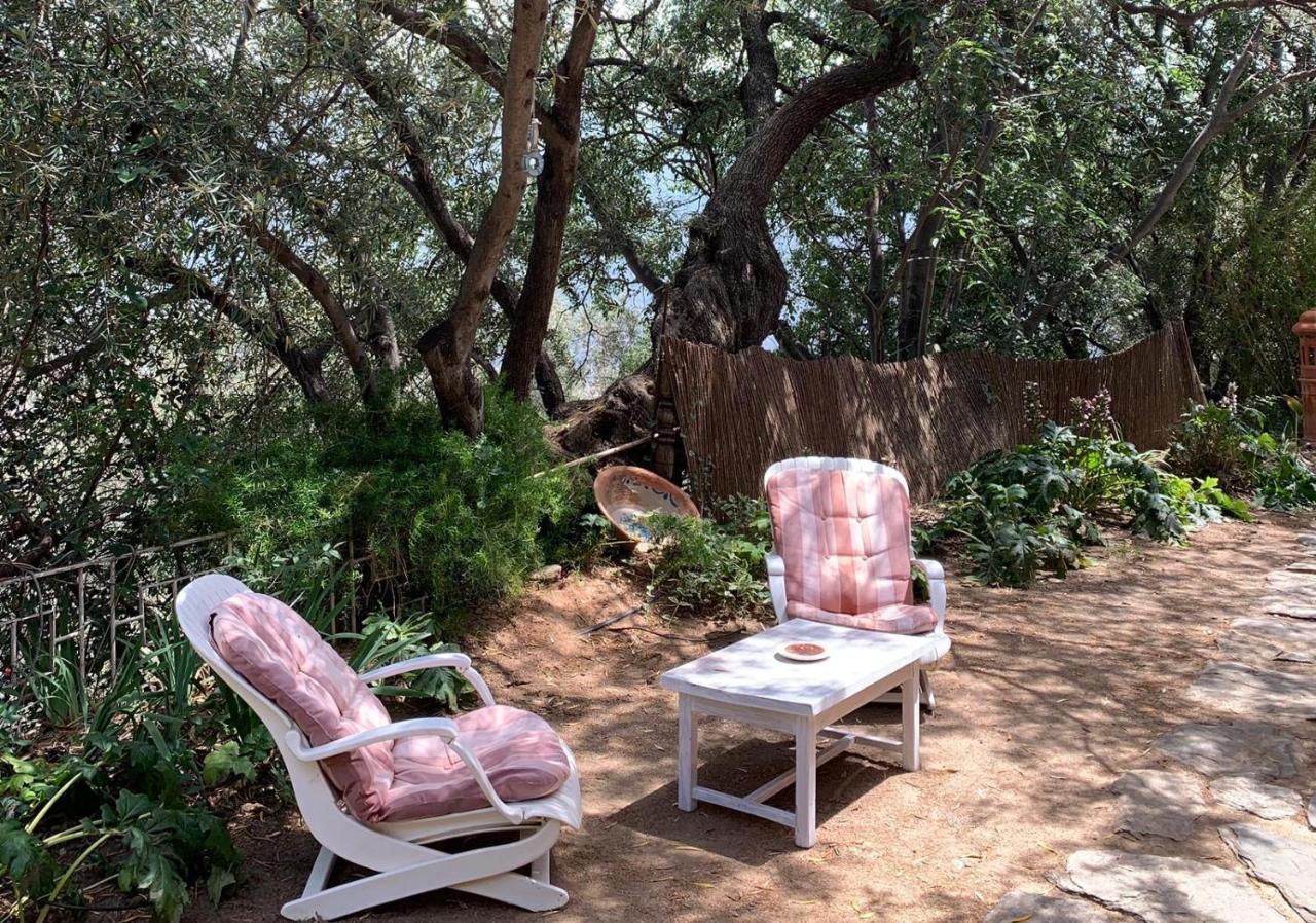 Mountain House Surrounded By Nature Bayacas Esterno foto